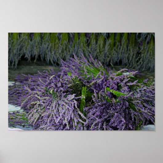 Lavender Bundles Poster (Vorne)