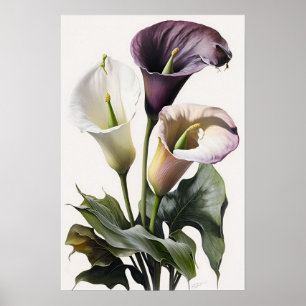 Lavender Calla Lilies Lily Blume Art Printing Post Poster