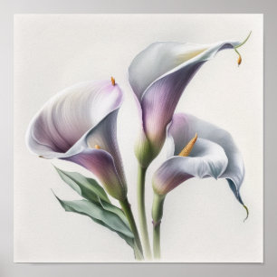 Lavender Calla Lilies Lily Blume Art Printing Post Poster