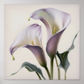Lavender Calla Lilies Lily Blume Art Printing Post Poster (Vorne)