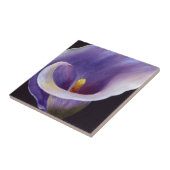 Lavender Calla Lily Fliese (Seite)