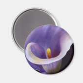 Lavender Calla Lily Magnet (Vorderseite/Rückseite)