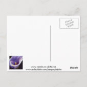 Lavender Calla Lily Postkarte (Rückseite)
