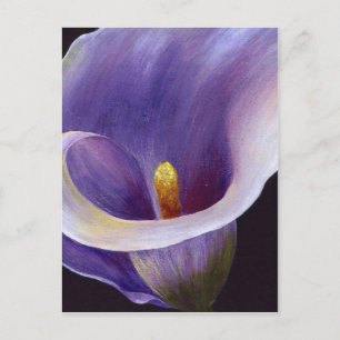 Lavender Calla Lily Postkarte