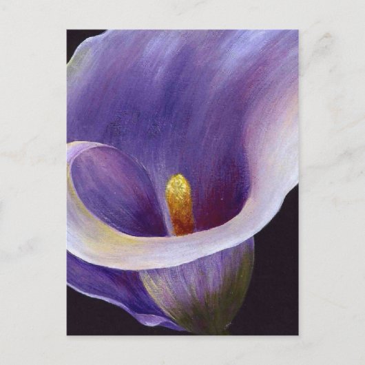 Lavender Calla Lily Postkarte (Vorderseite)