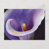 Lavender Calla Lily Postkarte (Vorderseite)