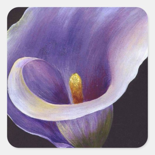 Lavender Calla Lily Quadratischer Aufkleber (Vorderseite)
