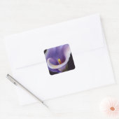 Lavender Calla Lily Quadratischer Aufkleber (Umschlag)