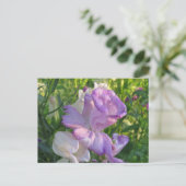 Lavender Campunella Bell Blume Postkarte (Stehend Vorderseite)
