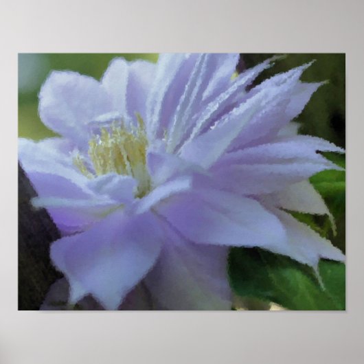 Lavender Clematis Blume Foto Malerei Poster (Vorne)
