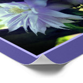 Lavender Clematis Blume in Trellis Abstrakt Poster (Ecke)