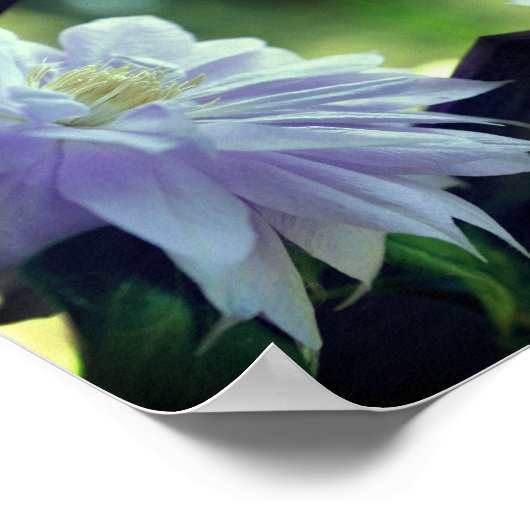 Lavender Clematis Blume Trellis Mirror Abstrakt Poster (Ecke)