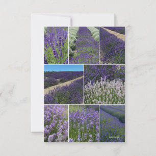 Lavender Collage Mitteilungskarte