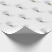 Lavender Cosmos Blume auf Weiß Geschenkpapier (Ecke)