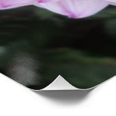 Lavender Dahlia Blume Poster (Ecke)