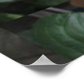 Lavender Dahlia Blume Poster (Ecke)