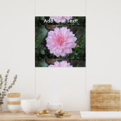 Lavender Dahlia Blume Poster (Küche)