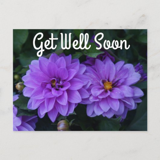 Lavender Dahlia Lilac wird bald gut Postkarte (Vorderseite)