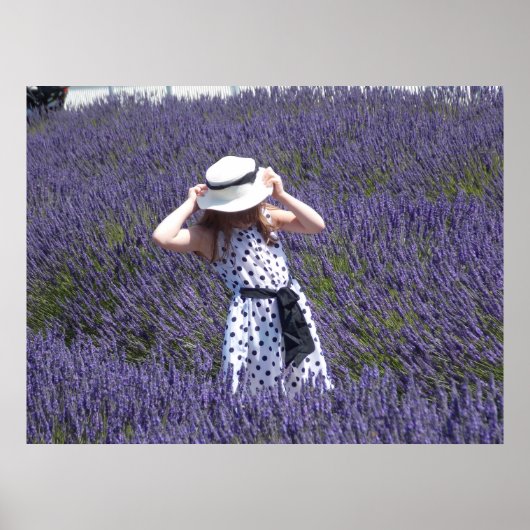 Lavender Days Poster (Vorne)