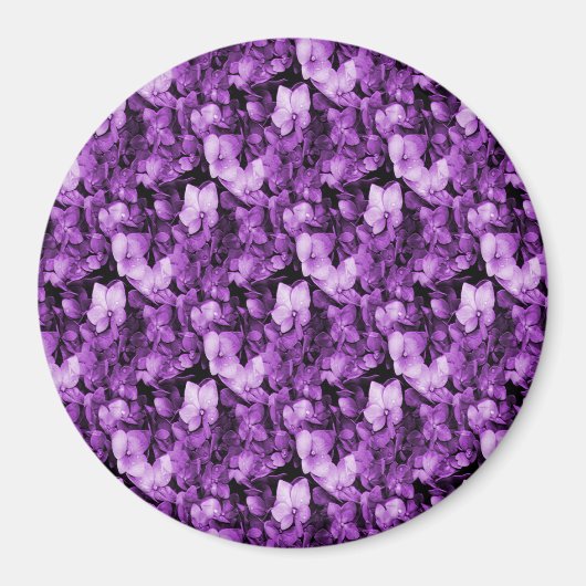 Lavender Delight... Magnet (Vorne)