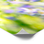 Lavender Dream Poster (Ecke)