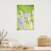 Lavender Dream Poster (Küche)