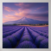 Lavender Dreams at Dusk - Eine Reise in die Innere
