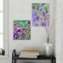 Lavender Dreamscapes: Ein Duett Lila Gelassenheit