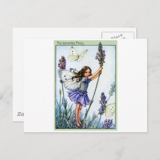 Lavender Fairy Postkarte (Vorne/Hinten)