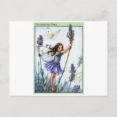 Lavender Fairy Postkarte (Vorderseite)