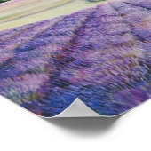 Lavender Farm auf der Insel San Juan von Bryn Barn Poster (Ecke)