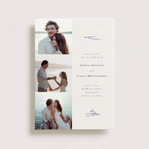 Lavender Felder 3 Foto Hochzeit individuell Save The Date