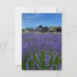 Lavender Field & Barn Mitteilungskarte
