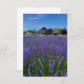 Lavender Field & Barn Mitteilungskarte (Vorne/Hinten)