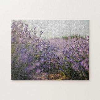 Lavender Field Gebäude Jigsaw Puzzle