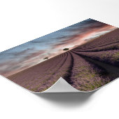 Lavender field in Provence Poster (Ecke)