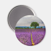 Lavender Field landschaftlich, Frankreich Magnet (Vorderseite/Rückseite)