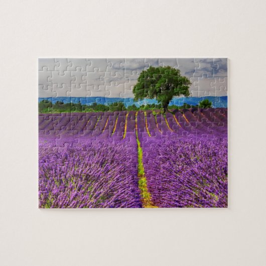 Lavender Field landschaftlich, Frankreich Puzzle (Horizontal)