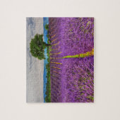 Lavender Field landschaftlich, Frankreich Puzzle (Vertikal)