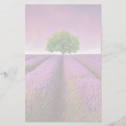 Lavender Field Landsommer Sunset Briefpapier (Vorderseite)