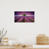 Lavender Field Landsommer Sunset Poster (Küche)