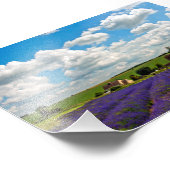 Lavender Field Summer Blume Cotwolds England Fotodruck (Ecke)