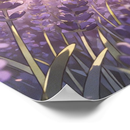Lavender Field Sunset Poster (Ecke)