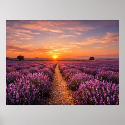 Lavender Field Sunset Provence Landscape Poster (Vorne)