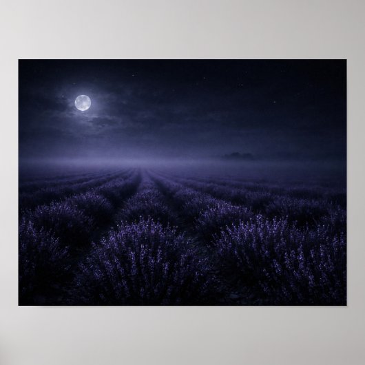 Lavender Field under Full Moon Night Poster (Vorne)
