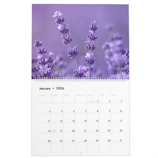 Lavender Fields Kalender (Jan 2026)