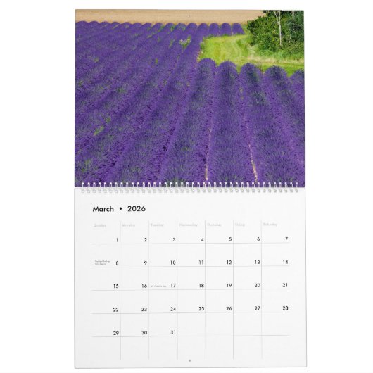 Lavender Fields Kalender (Mär 2026)
