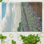 Lavender Fields Küchentuch (Gefaltet)