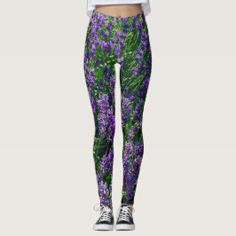 Lavender Fields Leggings