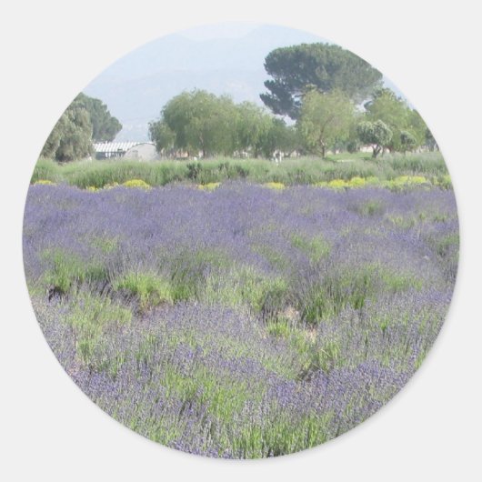Lavender Fields Runder Aufkleber (Vorderseite)